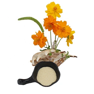 Thickening Agent Food Additives Powder gelatin halal beef